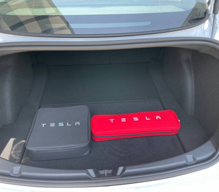 Blanc Tesla Model 3 Standard Plus 2022 Blanc Tesla Model 3 Standard Plus 2022