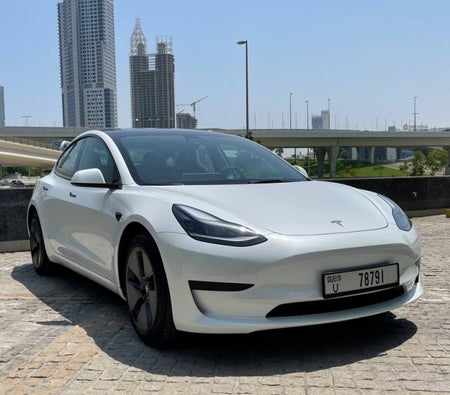 Blanc Tesla Model 3 Standard Plus 2022 Blanc Tesla Model 3 Standard Plus 2022