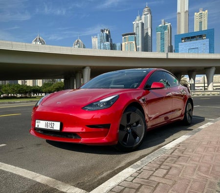 Kırmızı Tesla Model 3 Standard Plus 2023 Kırmızı Tesla Model 3 Standard Plus 2023