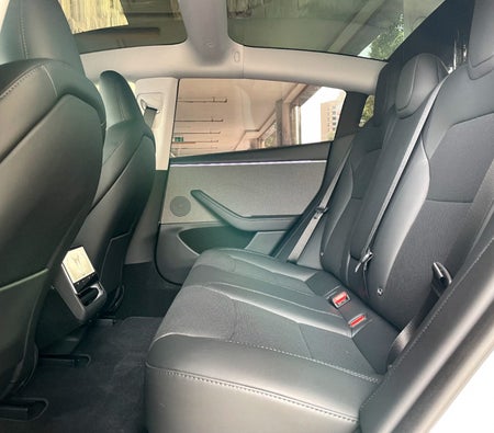 Tesla Model 3 Standard Plus 2024