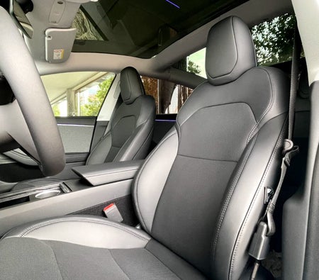 Tesla Model 3 Standard Plus 2024