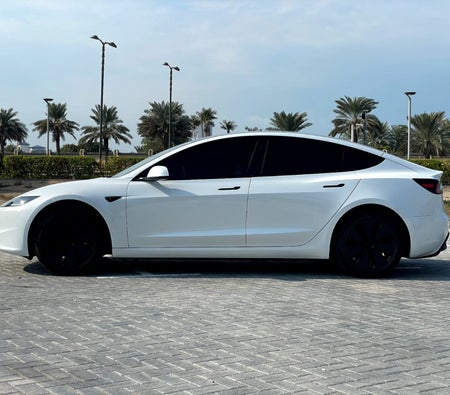Tesla Model 3 Standard Plus 2024