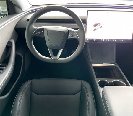 Tesla Model 3 Standard Plus 2024