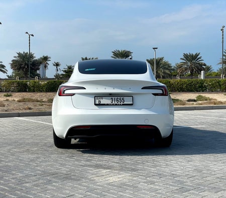 Tesla Model 3 Standard Plus 2024