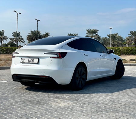 Tesla Model 3 Standard Plus 2024