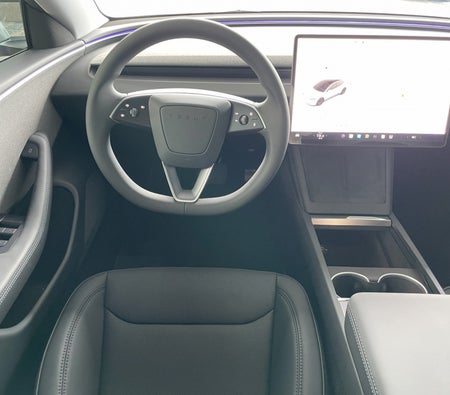wit Tesla Model 3 Standard Plus 2024
