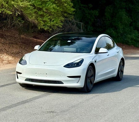 Weiß Tesla Model 3 Standard Range Plus 2021