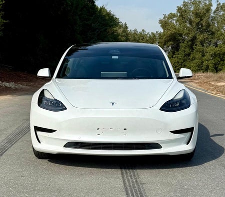 Weiß Tesla Model 3 Standard Range Plus 2021