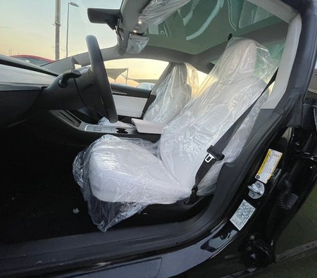 Tesla Model 3 2023, photo 3 of 4