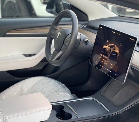 Tesla Model 3 2023, photo 4 of 4