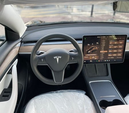Tesla Model 3 2023, photo 2 of 4