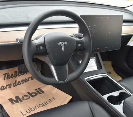 Tesla Model 3 Standard 2023, photo 3 of 4