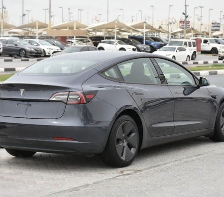 Gris Tesla Model 3 Standard 2023
