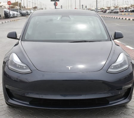 Tesla Model 3 Standard 2023, photo 2 of 4
