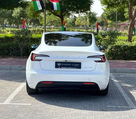 Tesla Model 3 Long Range 2025, photo 4 of 4