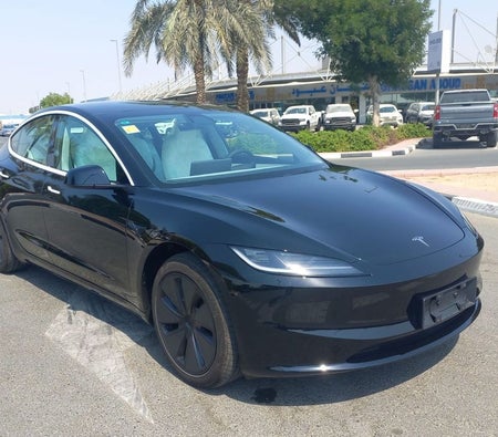 Tesla Model 3 2025, photo 4 of 4