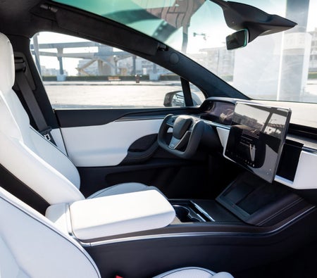 Tesla Model X Plaid 2023