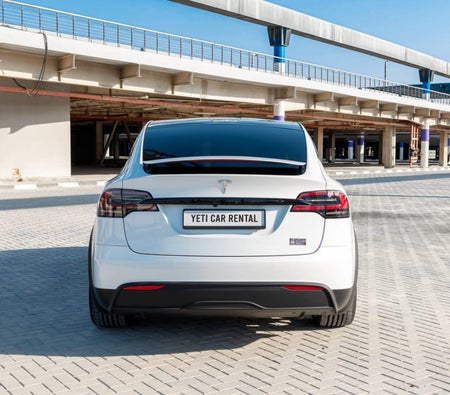 Tesla Model X Plaid 2023