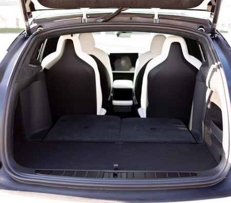 Tesla Model X Plaid 2023