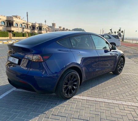 Tesla Model Y Long Range 2022