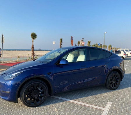 Tesla Model Y Long Range 2022