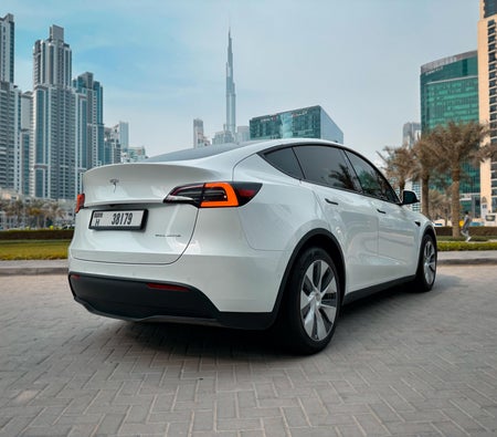 Tesla Model Y Long Range 2022