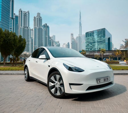Tesla Model Y Long Range 2022