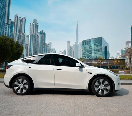 Tesla Model Y Long Range 2022