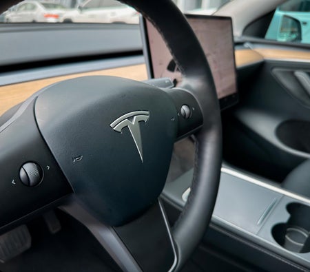 Tesla Model Y Long Range 2022