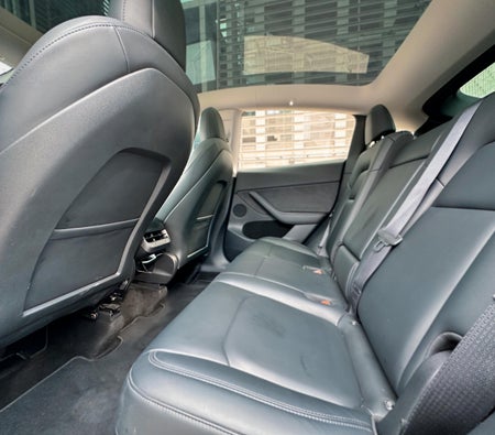 Tesla Model Y Long Range 2022