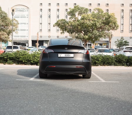 Tesla Model Y Performance 2023