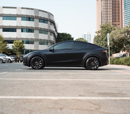 Tesla Model Y Performance 2023