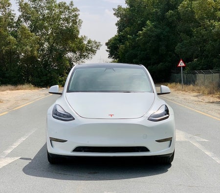 Tesla Model Y Long Range 2021, photo 2 of 4