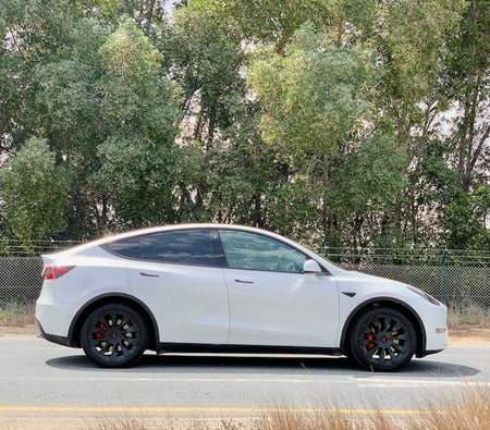 Tesla Model Y Long Range 2021, photo 4 of 4