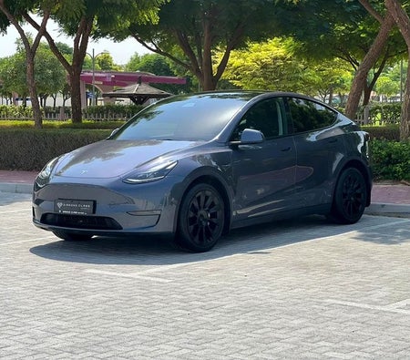 Tesla Model Y Long Range 2022, photo 2 of 4