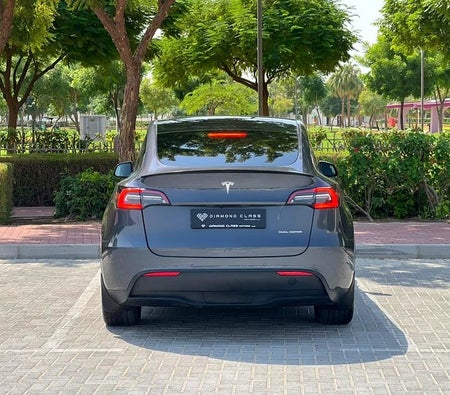 Grau Tesla Model Y Long Range 2022