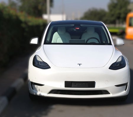 Tesla Model Y 2022, photo 2 of 4