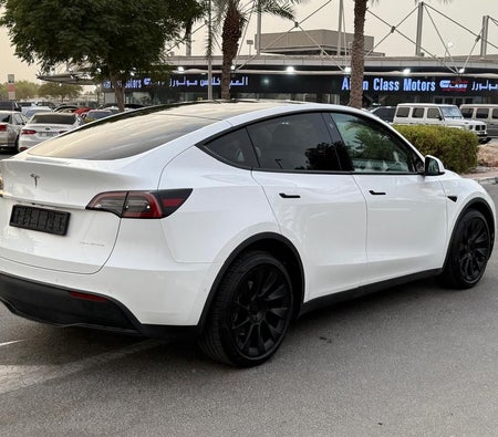 Белый Tesla Model Y 2022 год