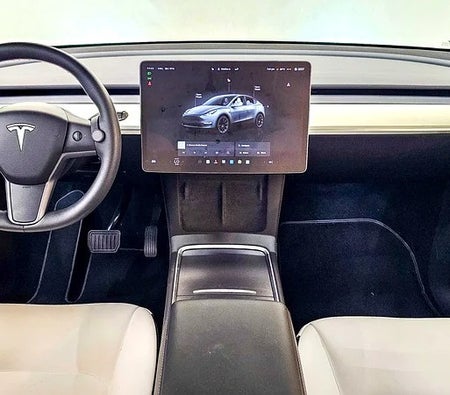 Tesla Model Y Long Range 2023, photo 2 of 4