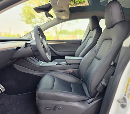 تسلا Model Y  2024, photo 4 of 4
