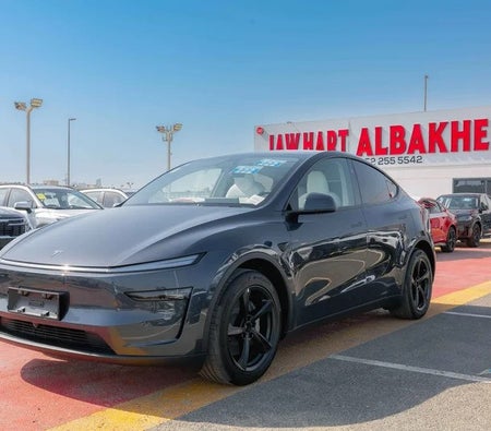 Tesla Model Y Long Range 2025, photo 3 of 4