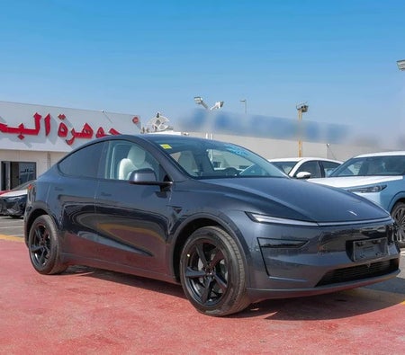 Tesla Model Y Long Range 2025, photo 2 of 4