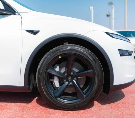 Tesla Model Y Long Range 2025, photo 4 of 4