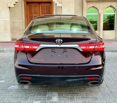 勃艮第 丰田 Avalon SE+ 2014