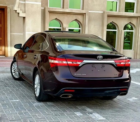 勃艮第 丰田 Avalon SE+ 2014