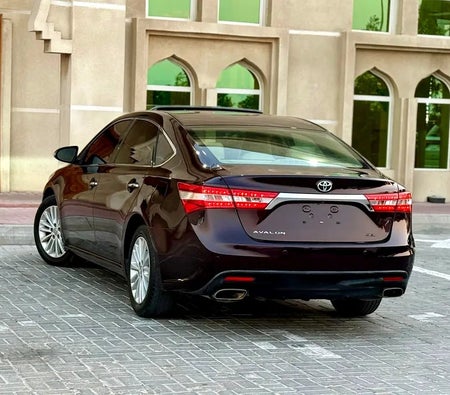 勃艮第 丰田 Avalon SE+ 2014