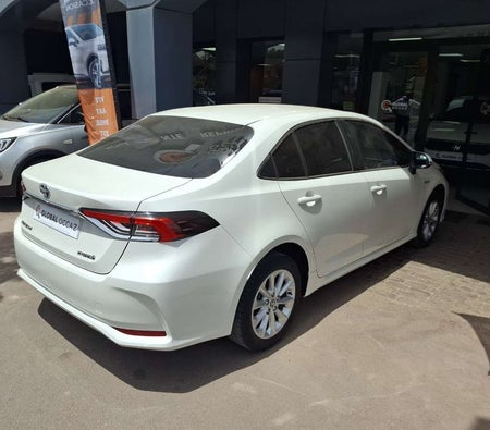 Weiß Toyota Corolla 1.8 Dynamic+ 2020 Weiß Toyota Corolla 1.8 Dynamic+ 2020