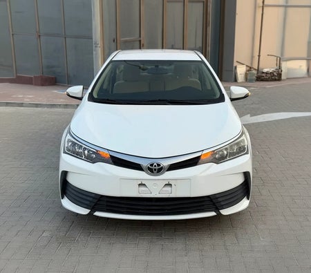 White Toyota Corolla GLI 2019