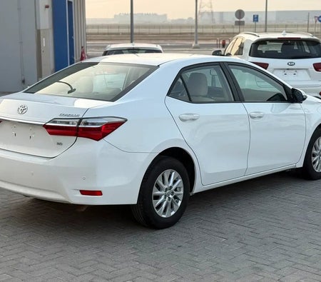 White Toyota Corolla GLI 2019