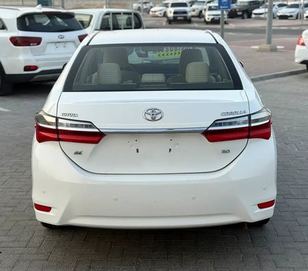 White Toyota Corolla GLI 2019
